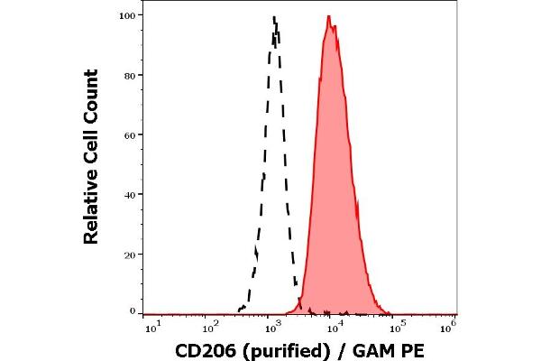 Macrophage Mannose Receptor 1 antibody