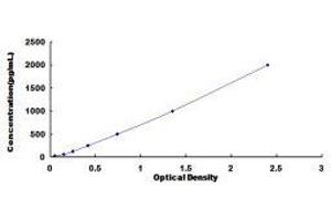 Granulocyte Chemotactic Protein 2 (GCP2) ELISA Kit