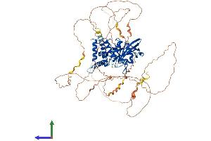 AlphaFold protein structure predicition of Mouse Recombinant Ptpn12 Protein, UniprotID P35831 (PTPN12 Protein (AA 1-775) (His tag))