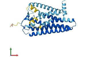 AlphaFold protein structure predicition of Human Recombinant OR5M11 Protein, UniprotID Q96RB7 (OR5M11 Protein (AA 1-305) (His tag))