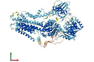 AlphaFold protein structure predicition of Mouse Recombinant Atp8a2 Protein, UniprotID P98200 (ATP8A2 Protein (AA 1-1148) (His tag))