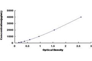 Image no. 1 for Complement Fragment 3a (C3a) ELISA Kit (ABIN1874277)