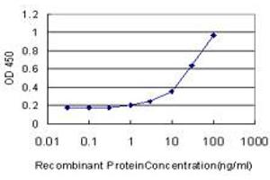 Detection limit for recombinant GST tagged NDST3 is approximately 1ng/ml as a capture antibody. (NDST3 antibody  (AA 162-259))