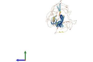 AlphaFold protein structure predicition of Mouse Recombinant Fkbp15 Protein, UniprotID Q6P9Q6
