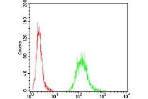 Flow cytometric analysis of A431 cells using EZR mouse mAb (green) and negative control (red). (Ezrin antibody  (AA 292-464))