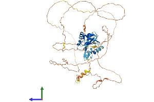 AlphaFold protein structure predicition of Mouse Recombinant Socs6 Protein, UniprotID Q9JLY0 (SOCS6 Protein (AA 1-533) (His tag))