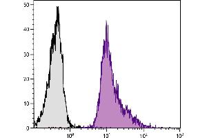 BALB/c mouse splenocytes were stained with Rat Anti-Mouse CD18-BIOT. (Integrin beta 2 antibody  (FITC))