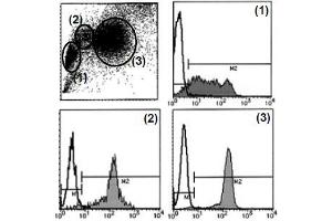Flow Cytometry (FACS) image for anti-Sialophorin (SPN) antibody (ABIN1106370) (CD43 antibody)
