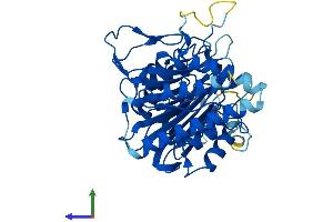 AlphaFold protein structure predicition of Mouse Recombinant Scrn3 Protein, UniprotID Q3TMH2