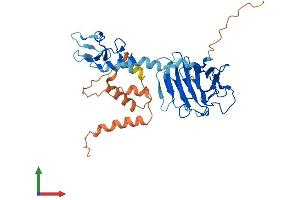 AlphaFold protein structure predicition of Human Recombinant RFPL2 Protein, UniprotID O75678 (RFPL2 Protein (AA 1-378) (His tag))