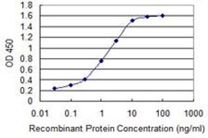 Detection limit for recombinant GST tagged S100A10 is 0. (S100A10 antibody  (AA 1-97))