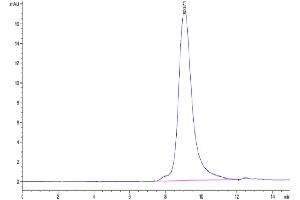 Size-exclusion chromatography-High Pressure Liquid Chromatography (SEC-HPLC) image for SARS-CoV-2 Spike S1 (B.1.1.529 - Omicron) protein (His tag) (ABIN7274393)