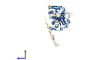 AlphaFold protein structure predicition of Human Recombinant CTBP1 Protein, UniprotID Q13363