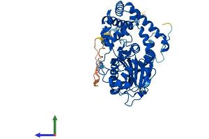 Protein Structure (PS) image for Acid Phosphatase-Like 2 (ACPL2) (AA 1-480) protein (His tag) (ABIN7555106)
