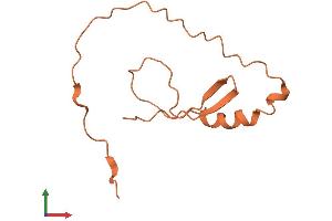 AlphaFold protein structure predicition of Human Recombinant BAALC-AS2 Protein, UniprotID P0C853 (C8ORF56 Protein (AA 1-105) (His tag))
