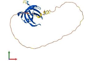 Protein Structure (PS) image for Oligonucleotide/oligosaccharide-Binding Fold Containing 2A (OBFC2A) (AA 1-204) protein (His tag) (ABIN7546257)