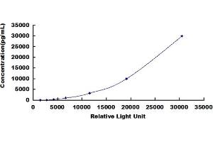 ELISA image for Tumor Necrosis Factor (Ligand) Superfamily, Member 11 (TNFSF11) CLIA Kit (ABIN492164) (RANKL CLIA Kit)