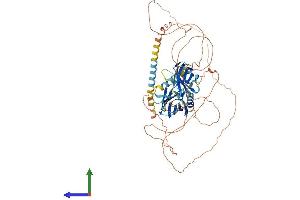 AlphaFold protein structure predicition of Human Recombinant SYT16 Protein, UniprotID Q17RD7 (SYT16 Protein (AA 1-645) (His tag))