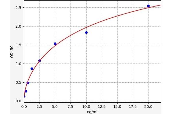 KMO ELISA Kit