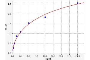 Typical standard curve (KMO ELISA Kit)