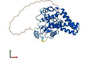AlphaFold protein structure predicition of Human Recombinant SCD Protein, UniprotID O00767 (SCD Protein (AA 1-359) (His tag))