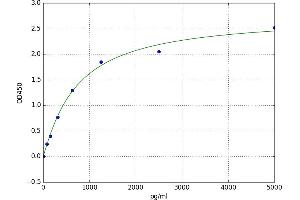 Small Nuclear Ribonucleoprotein D1 Polypeptide 16kDa (SNRPD1) ELISA Kit