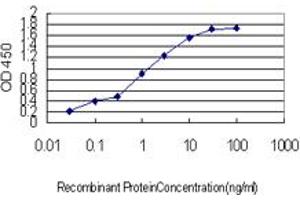 Detection limit for recombinant GST tagged CPNE6 is approximately 0. (CPNE6 antibody  (AA 1-557))