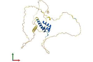 AlphaFold protein structure predicition of Mouse Recombinant Hoxd11 Protein, UniprotID P23813 (HOXD11 Protein (AA 1-323) (His tag))