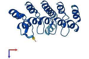 Ankyrin Repeat Domain 22 (ANKRD22) (AA 1-191) protein (His tag)