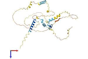FAM110C Protein (AA 1-321) (His tag)
