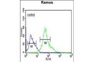 XBP1 Antibody (Center) (ABIN651279 and ABIN2840166) flow cytometric analysis of Ramos cells (right histogram) compared to a negative control cell (left histogram). (XBP1 antibody  (AA 62-91))