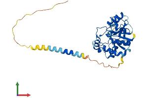 AlphaFold protein structure predicition of Mouse Recombinant St6galnac6 Protein, UniprotID Q9JM95 (ST6GALNAC6 Protein (AA 1-333) (His tag))