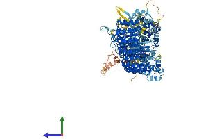 AlphaFold protein structure predicition of Human Recombinant NLRP3 Protein, UniprotID Q96P20 (NLRP3 Protein (AA 1-1036) (His tag))