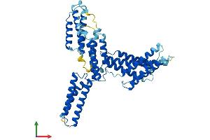 Protein Structure (PS) image for BCL2-Associated Athanogene 5 (BAG5) (AA 1-447) protein (His tag) (ABIN7552693)