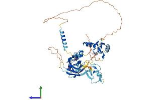 AlphaFold protein structure predicition of Mouse Recombinant Ubox5 Protein, UniprotID Q925F4 (UBOX5 Protein (AA 1-539) (His tag))