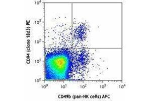 Flow Cytometry (FACS) image for anti-Killer Cell Lectin-Like Receptor Subfamily D, Member 1 (KLRD1) antibody (PE) (ABIN2663656) (CD94 antibody  (PE))