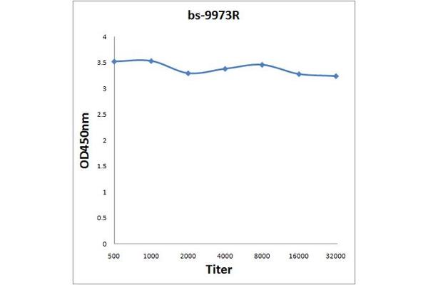 LCA5 antibody