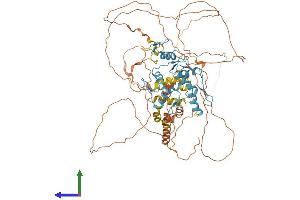 AlphaFold protein structure predicition of Mouse Recombinant Bcl6 Protein, UniprotID P41183