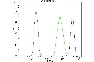 Flow Cytometry analysis of PC-3 cells using anti-PIAS1 antibody (ABIN7602694). (PIAS1 antibody  (AA 96-300))