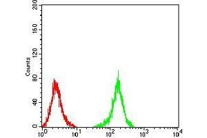 Flow Cytometry (FACS) image for anti-Neurofilament Triplet M Protein (NEFM) (AA 779-916) antibody (ABIN5872897) (NEFM antibody  (AA 779-916))