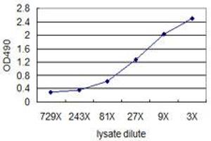 ELISA image for KIT (Human) Matched Antibody Pair (ABIN1341648)