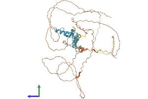 AlphaFold protein structure predicition of Human Recombinant SP8 Protein, UniprotID Q8IXZ3 (SP8 Protein (AA 1-490) (His tag))