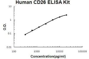 Human CD26/DPP4 PicoKine ELISA Kit standard curve