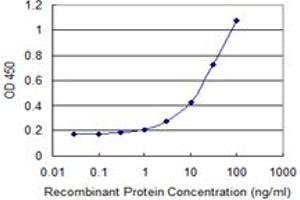 Detection limit for recombinant GST tagged TRAF1 is 1 ng/ml as a capture antibody. (TRAF1 antibody  (AA 1-416))