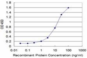Detection limit for recombinant GST tagged SS18 is approximately 0. (SS18 antibody  (AA 116-216))