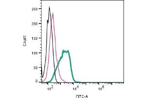 Cell surface detection of  in live intact human  megakaryoblastic leukemia cells: + rabbit IgG isotype control-FITC (ABIN7582044).