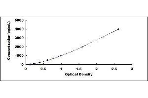 Typical standard curve (NRP2 ELISA Kit)