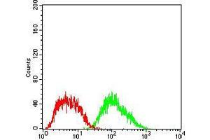 Flow cytometric analysis of HepG2 cells using FTL mouse mAb (green) and negative control (red). (FTL antibody  (AA 1-175))