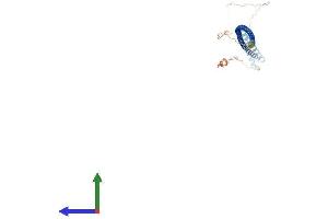AlphaFold protein structure predicition of Human Recombinant IQCG Protein, UniprotID Q9H095 (IQCG Protein (AA 1-443) (His tag))