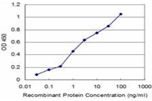 Detection limit for recombinant GST tagged VAMP1 is approximately 0. (VAMP1 antibody  (AA 28-96))